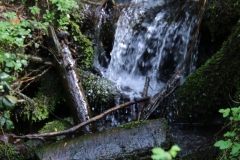 Wanderung_20230423_146
