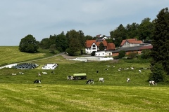Wanderung_20230521_10