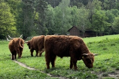 Wanderung_20230521_26