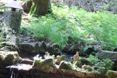 Wanderung_20230618_08