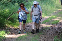 Wanderung_20230618_32