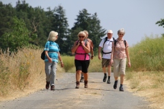 Wanderung_20230618_44