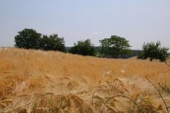 Wanderung_20230618_46
