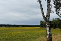 Wanderung_20230723_02