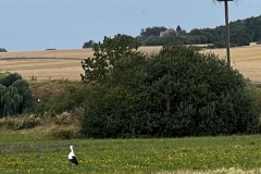 Wanderung_20230723_05