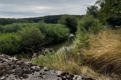 Wanderung_20230723_07