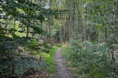 Wanderung_20230819_05