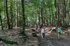 Wanderung_20230819_09
