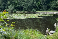Wanderung_20230819_15