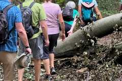 Wanderung_20230819_17