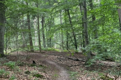 Wanderung_20230819_19