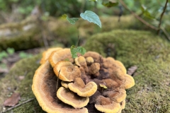 Wanderung_20230819_26