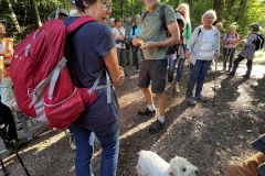 Wanderung_20230924_05