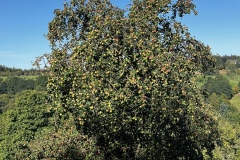 Wanderung_20230924_14