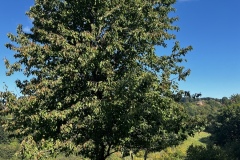 Wanderung_20230924_16