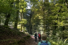 Wanderung_20230924_20