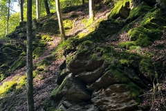 Wanderung_20230924_24
