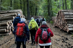 Wanderung_20231015_11