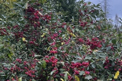 Wanderung_20231015_13