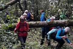 Wanderung_20231015_16
