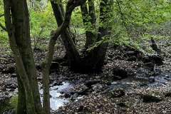 Wanderung_20231015_17