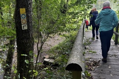 Wanderung_20231015_19