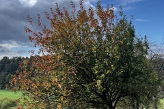 Wanderung_20231015_27