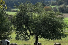 Wanderung_20231015_29