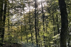 Wanderung_20231015_43