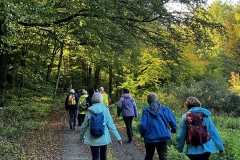 Wanderung_20231015_44