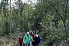 Wanderung_20231015_46