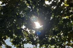Wanderung_20231015_53