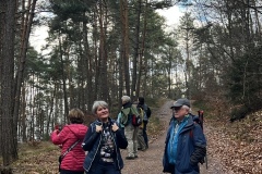Wanderung_20231228_05