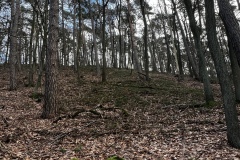 Wanderung_20231228_08