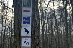 Wanderung_20231228_09