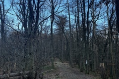 Wanderung_20231228_10