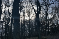 Wanderung_20231228_11