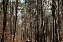 Wanderung_20240317_03