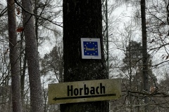 Wanderung_20240317_11