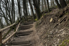 Wanderung_20240317_17