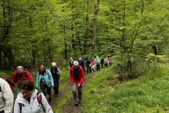 Wanderung_20240428_00003
