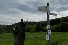 Wanderung_20240428_00005