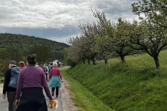 Wanderung_20240428_00009
