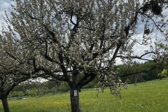 Wanderung_20240428_00010