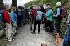 Wanderung_20240428_00021