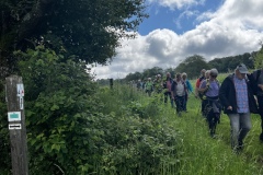 Wanderung_20240525_00007