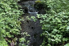 Wanderung_20240525_00008