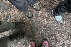 Wanderung_20240525_00010