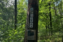Wanderung_20240525_00011