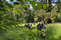 Wanderung_20240525_00043